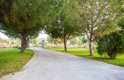 Greece Seaside villa 200sq m 20m from sea - Foto 25