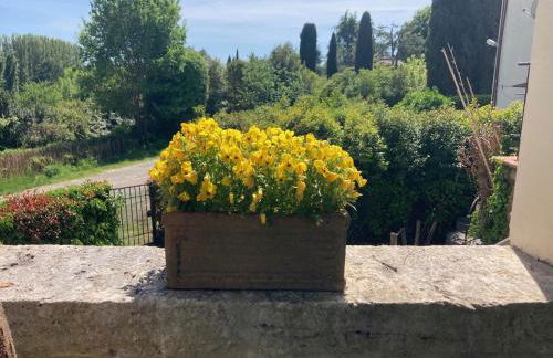 Carpineto1: Appartamento con giardino vicino Siena - Foto 3