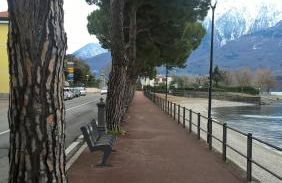 LITTLE FLOWER - Foto 61