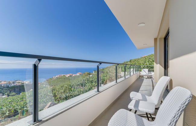 Banana Tree - Foto 19