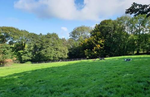 Dolgoy Coach House Loft - Photo 17