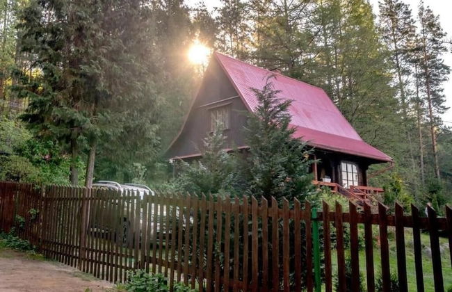 In The Woods Lodge With hot tub Inside Puszcza Knyszyśnka - Two-bedroom Villa - Photo 35