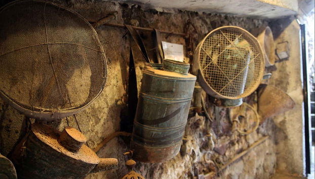 Veremos diferentes artigos sobre viticultura