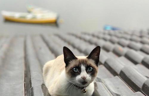 Casa Rio - 04 Quartos de Frente para o Mar - Foto 32