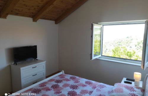 Rest house with jacuzzi Mili - Foto 8