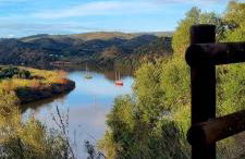 HuesPet&You - Foto 9