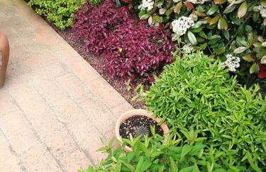 casa Sofì - Foto 13