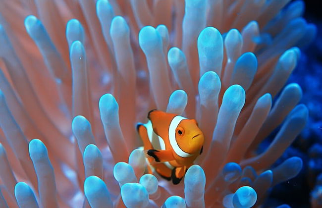 Nyaman Catamaran - Foto 28