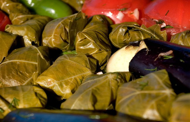 Katalagari Country Suites - Foto 38