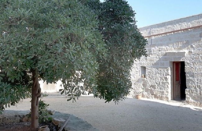 Masseria Nucci - Photo 23