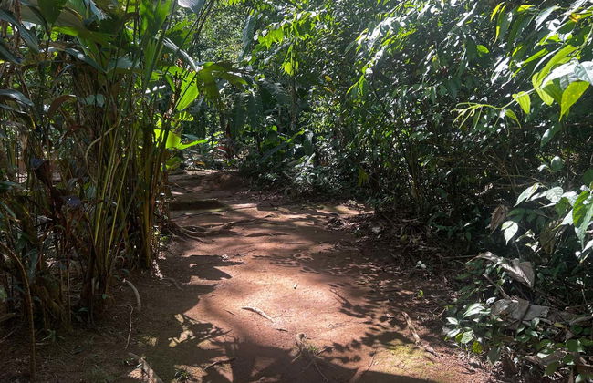 Excursion de 1 ou 2 jours au domaine Rio Agujitas - Photo 5