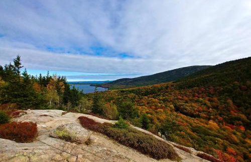 Secluded Oasis on Acadia's Quietside - Pets OK! - Foto 16