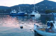 Calm Rooms - Foto 22