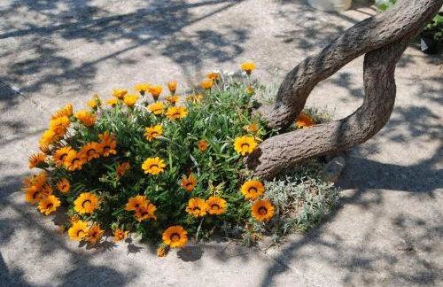 Rustic House Miketa - Family Summertime - Foto 90