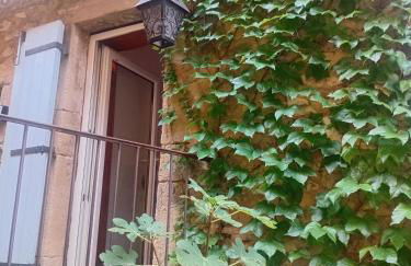 Grande maison en pierre au coeur du village provençal du XIe siecle 10 personnes - Foto 42