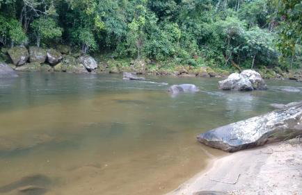 Recanto da natureza - Photo 6