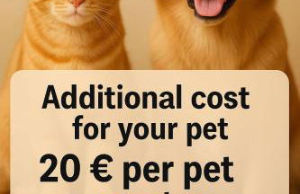 Bungalow frente la playa Cala Capitan ,#PRP002 by Stay Orihuela Costa - Foto 42