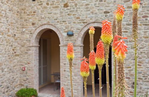 Beautiful Villa in Belforte All'isauro With Swimming Pool - Foto 48