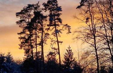 3 Zimmer Neubauwohnung in der schwäbischen Toskana - Foto 45