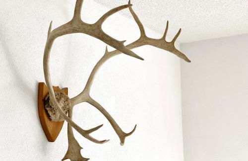 Schwarzwald - Gemuetliches 2 Zimmer Apartment! - Foto 15