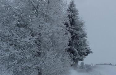 Ferienwohnung Vogel - Foto 18