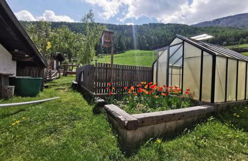 Bio-Bauernhof Mairinghof-Paris - Foto 42