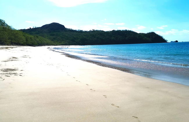 Container w Pool Backyard Parking BBQ Kitchen More in Playa Potrero - Photo 26