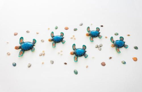 La Tortuga Azul B - Foto 8