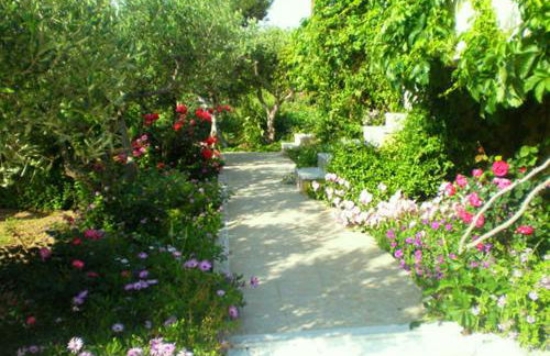 Tiki Rooms - Foto 19