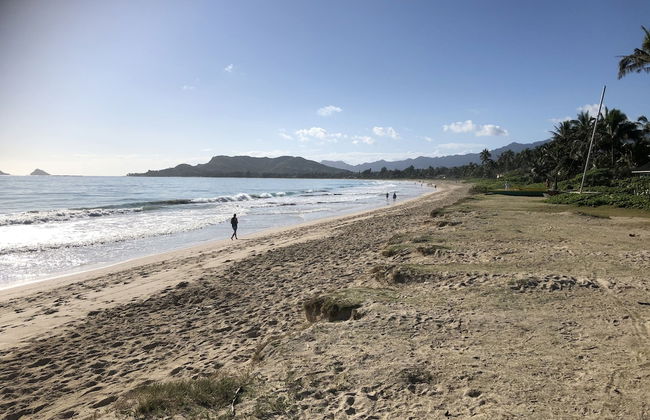 Gorgeous Renovated 1937 Plantation Style Beach House 50 Steps To The Center Of The Beach 5 Bedroom Home by RedAwning - Foto 60