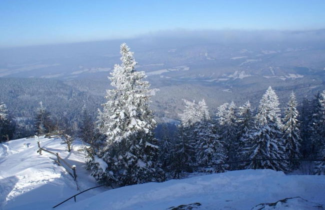 Geraumige Wohnung mit Sauna - Photo 33