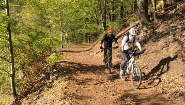 Romantisches Hirschhorn am Neckar - Foto 5