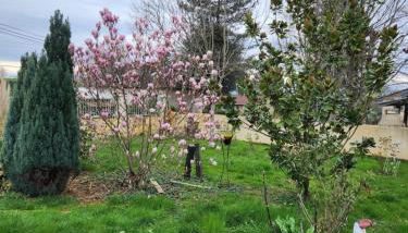 Maison de vacances - Foto 2