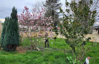 Maison de vacances - Foto 2