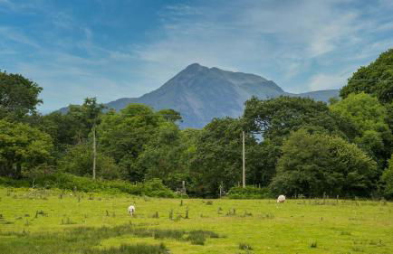 Hafod Cae Maen - Foto 61