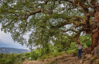 Casa do Eiró - Foto 31