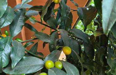 Bella casa con vista panoramica - Foto 12