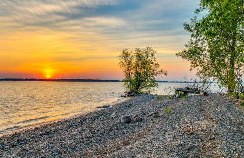 The Bird's Nest - Foto 29