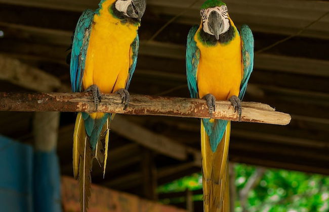 Covenas Refugio de Familia junto al Mar - Foto 29