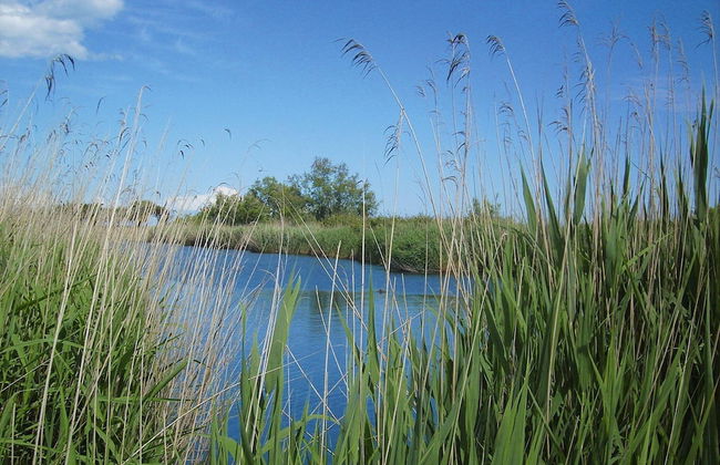 Apartment in Ghisonaccia Near Sandy Beach - Foto 32