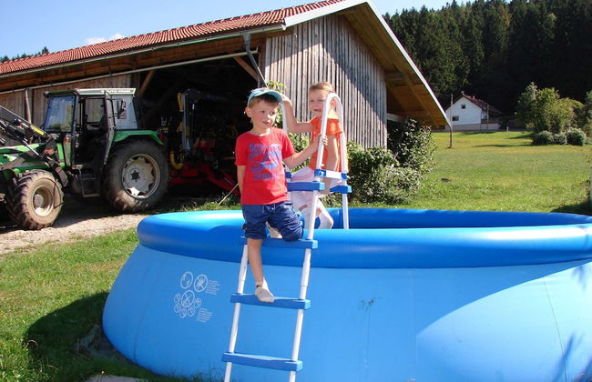 Farmhouse in Neukirchen Near Heiligen Blut - Foto 53