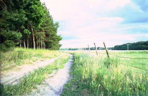 Ferienhaus Pirol - Photo 38