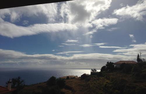 Blooming Botanic Houses - Foto 21