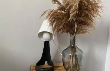 REZ de jardin moderne 4 chambres 8 personnes jardinet - Foto 15