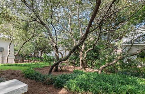 Yellow Bird - Foto 47