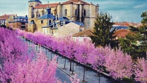 El Rincon La Roca - Foto 3