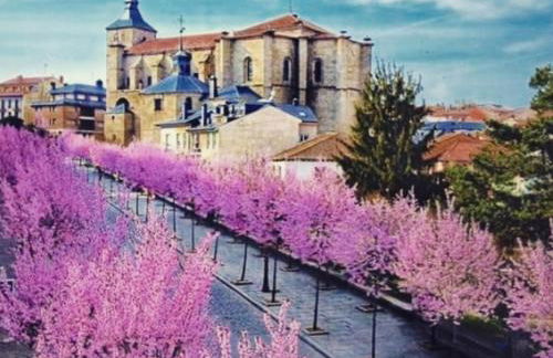 El Rincon La Roca - Foto 3