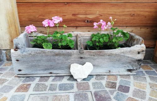 Cesa de Conesel - Foto 49