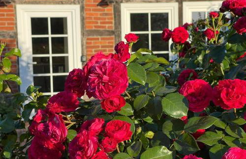 Ferienwohnung Wussegel - Foto 1