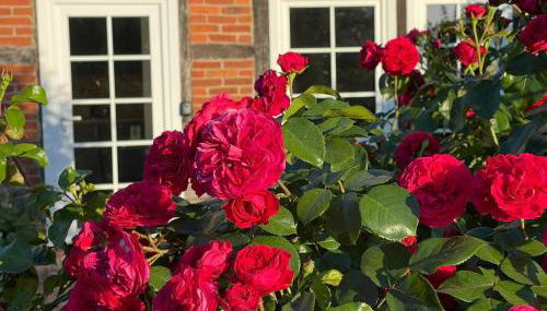 Ferienwohnung Wussegel - Foto 1